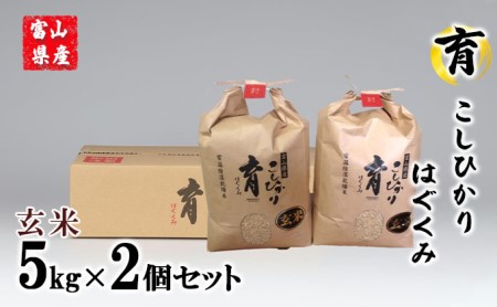 富山県産こしひかり　育（はぐくみ）玄米5kg×2個セット《南砺の逸品》