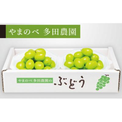 ふるさと納税 中山町 ダイヤパック 250g×2