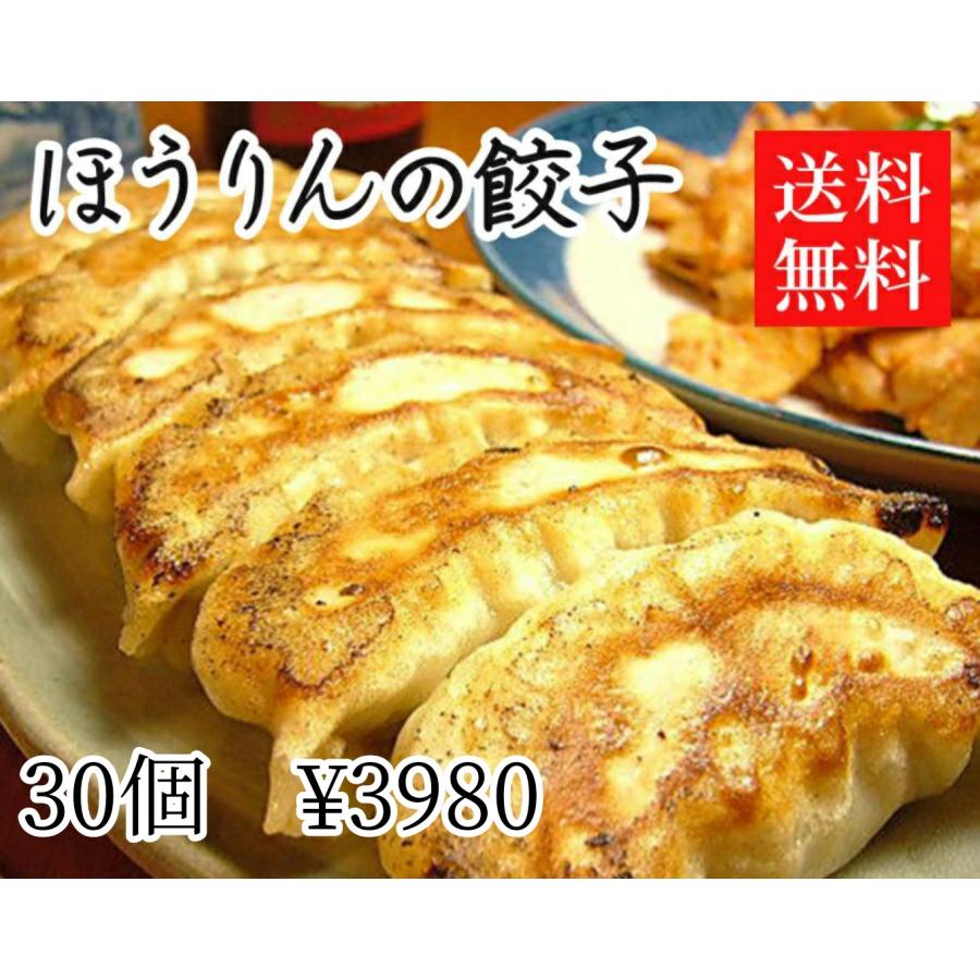 ほうりんの餃子　30個　送料無料