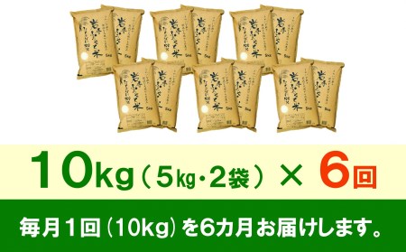 3人に1人がリピーター!☆全6回定期便☆ 岩手ふるさと米 10kg(5㎏×2)×6ヶ月 令和5年産 新米 一等米ひとめぼれ 東北有数のお米の産地 岩手県奥州市産[U0165]