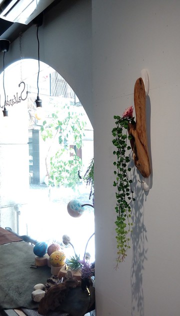 小綠綠與木木  黑手指朋友好禮  居家妝點 浪漫省時省力又美麗