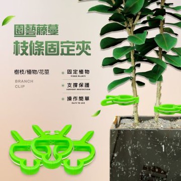 金德恩 台灣製造 一組15入 園藝固定夾 隨機色 樹枝夾 植物夾 藤蔓夾 曬衣夾 花莖夾 園藝夾 藤蔓