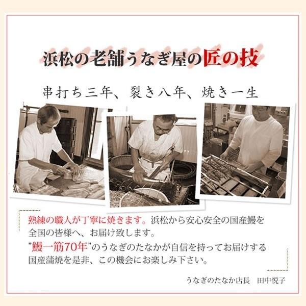 お歳暮 ギフト 2023 国産 うなぎ 蒲焼き お祝い お試し 誕生日 通販 ランキング 贈り物 鰻2本 プレゼント 土用の丑の日 お年賀 御歳暮 御年賀 簡易箱 Gset03