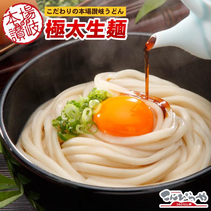 期間限定 本場讃岐うどん 極太生麺 1000g どぉ〜んと1kg！約10人前 ポスト投函便での配送(代金引換-後払い不可・着日指定不可)