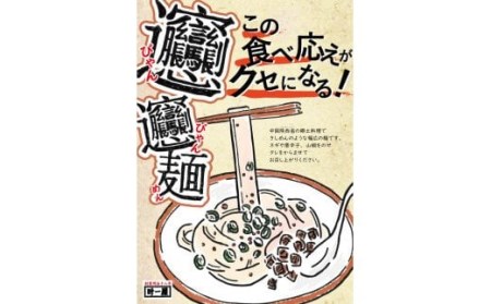 びゃんびゃん麺（半生・2人前）特製タレ付き×30箱入  中国 郷土料理 中華 ビャンビャン麺 めん F4H-0056