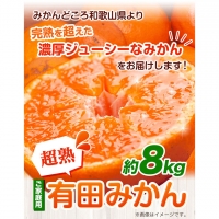 ＜先行予約＞家庭用　超熟有田みかん8kg 240g（傷み補償分） 池田鹿蔵農園@日高町（池田農園株式会社）《11月上旬-1月中旬頃より順次出荷》和歌山県 日高町