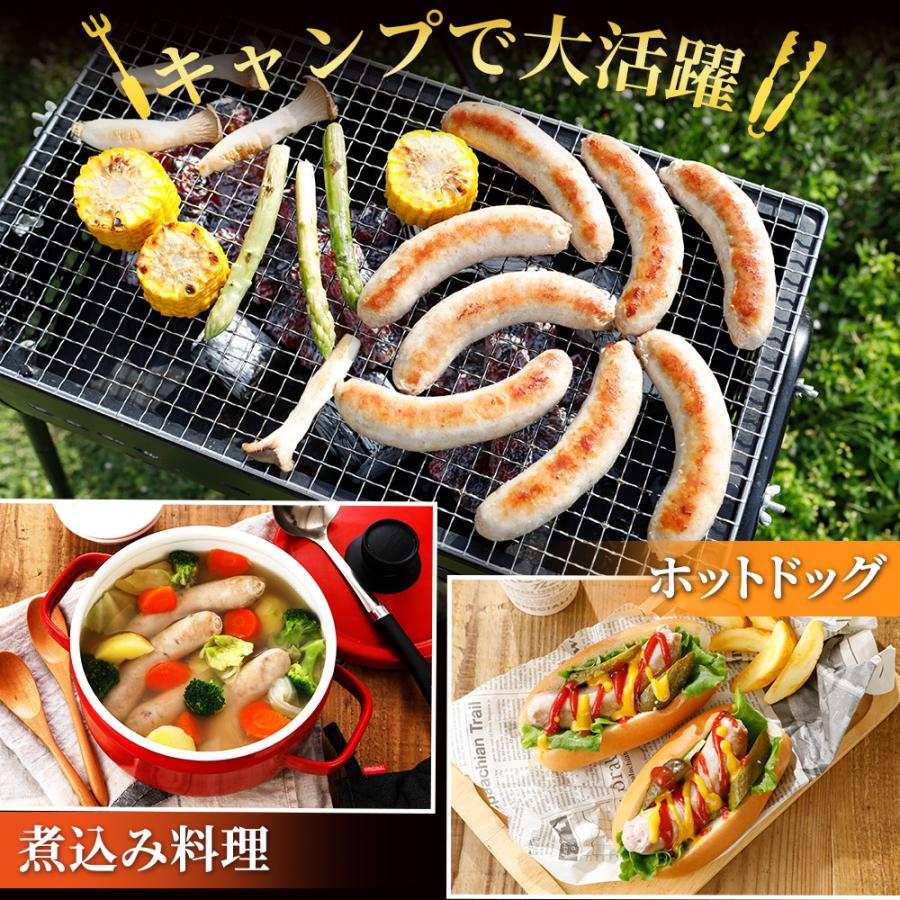 やまと豚 生フランク 80g×10本 NS-DS [冷凍] フランクフルトソーセージ 冷凍 ソーセージ ウインナー 無添加 ギフト 生ウインナー 生ソーセージ お取り寄せ 肉