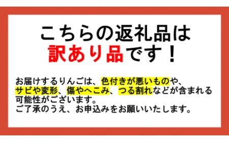 りんご 5Kg  果物 訳あり 秋映 長野 「感謝りんご」 交換保証 不揃い 規格外 傷あり ５キロ (１２から２５玉)  全国発送 R6年10月頃〜順次発送 長野県 飯綱町 [1202]