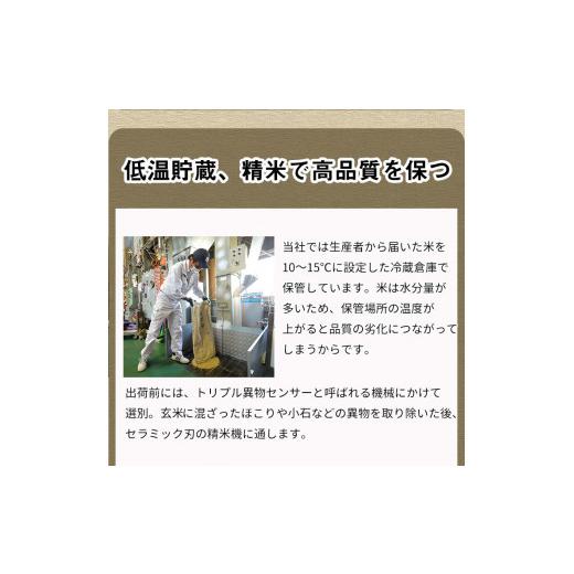 ふるさと納税 京都府 亀岡市 訳あり 定期便 新米 10kg 3ヶ月 京都丹波米 こしひかり 白米 3回定期便 10kg×3回 計30kg ※精米したてをお届け《…