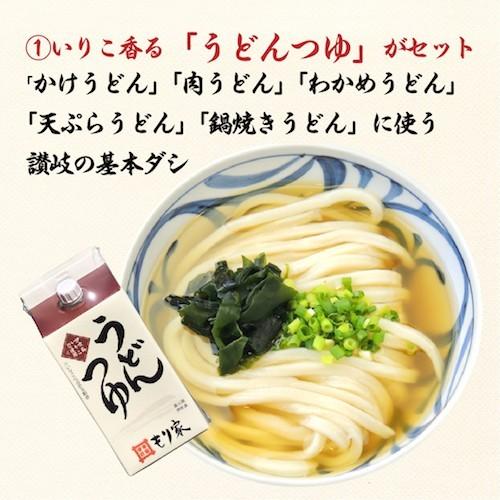 送料無料　半生うどん特別セット１２人前　讃岐うどん　さぬきうどん　半生