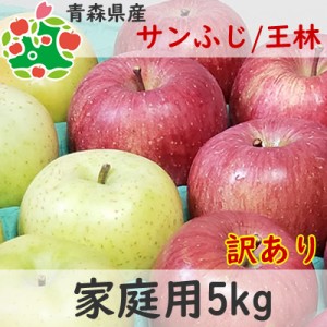 りんご 訳あり 青森県産 サンふじ 王林 詰め合わせ 家庭用 キズあり 5kg 送料無料 産地直送 産直自宅用 ワケあり お試し 試食 食べ物 旬