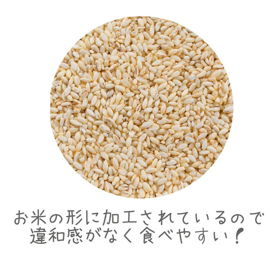 はくばく 米粒麦スタンドパック 540g×6袋