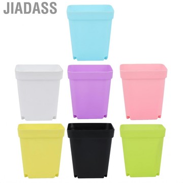 Jiadass 庭院花盆 12 月貨櫃多肉植物