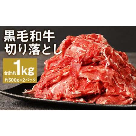 ふるさと納税 黒毛和牛 切り落とし 約1kg 500g×2パック 牛肉  熊本県菊池市