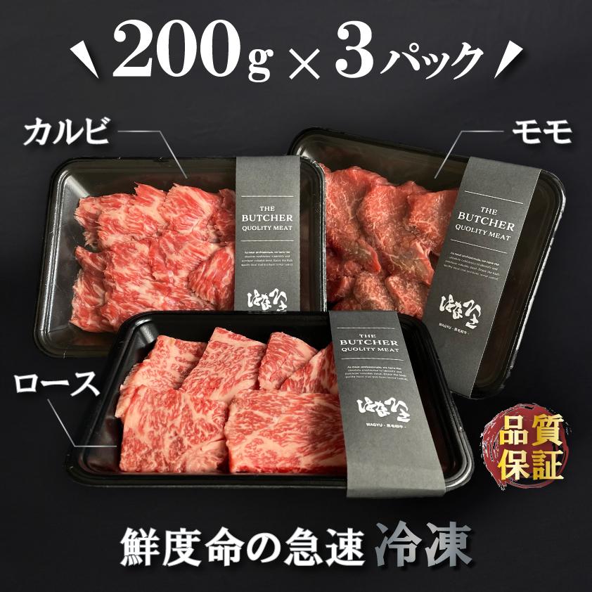 牛肉 焼肉セット 人気の3種盛り合わせ 合計600g 上州牛 ロース カルビ モモ 焼肉用 高級国産牛 BBQ 200g × 3種 霜降り肉 赤身 送料無料 お歳暮 焼き肉 定番部位