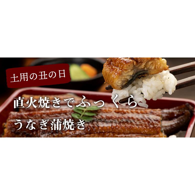 うなぎ 鰻 蒲焼 カット 直火焼き 3人前 100g×６枚 小分け 冷凍 丑の日 土用の丑   2023 プレゼント ギフト