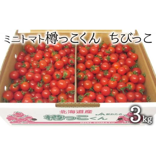 ふるさと納税 北海道 仁木町 先行受付 2024年8月出荷 北海道 仁木町産 樽っこくん ちびっこ 3kg ミニトマト