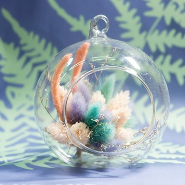 大彈珠乾燥花 - 毛怪