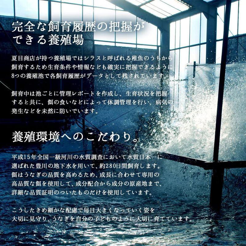 うなぎの夏目商店 国産 豊橋うなぎ 蒲焼き 特大181-210g×2尾 (約3.5人前) たれ・山椒付 簡易箱