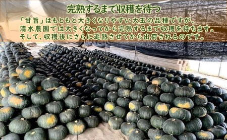 ＜2024年9月初旬よりお届け＞清水農園のかぼちゃ(甘旨）約10kg (4～6玉) 野菜 かぼちゃ 先行予約 秋野菜