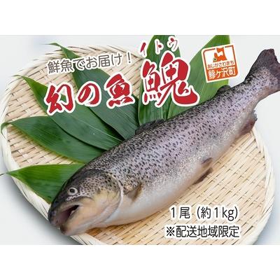 ふるさと納税 鮮魚でお届け！幻の魚「イトウ」1尾(約1kg)※配送地域限定 青森県鰺ヶ沢町