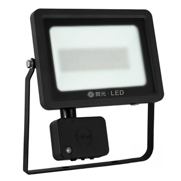 DANCELIGHT 舞光 感應泛光燈 30W 6500K 229 x 248 x 42mm 白光  1個