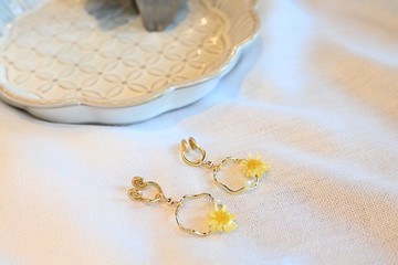 夏日的向陽時光 | 不凋花款