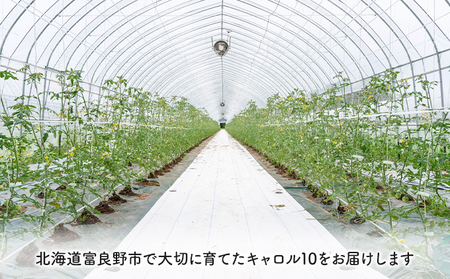 北海道 富良野産 ミニトマト 約3kg キャロル10 トマト ふらの トマト 甘い 野菜 (榎本農園)