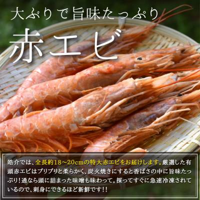 ふるさと納税 南知多町 大あさり、赤エビ、ホタテ、サザエの海鮮バーベキューセット約2kg(CAS冷凍BBQ)