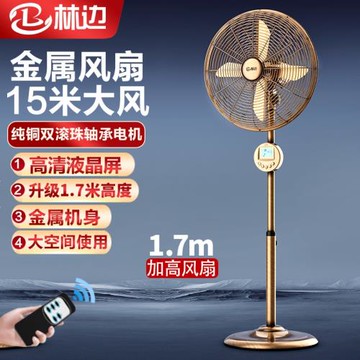 林邊金屬落地扇家用大風力臥室辦公室客廳餐廳裝飾復古高檔電風扇