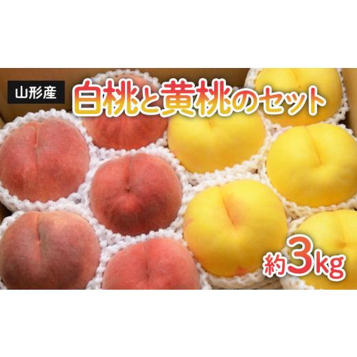 ふるさと納税 山形県 山形市 山形の白桃と黄桃のセット 約3kg(6〜13玉)[柔らかくなる品種・果肉やや硬め] FU22-054