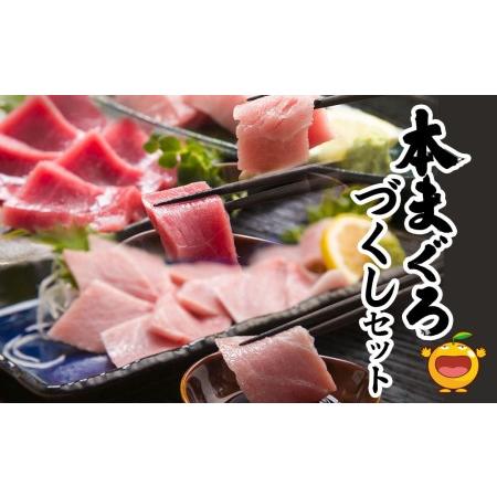 ふるさと納税 本まぐろづくし セット 大トロ500g 中トロ600g 赤身600g 鮪 海鮮丼 刺し身 刺身 盛り合わせ 冷凍 魚の刺身 大分県産 九州産 津久.. 大分県津久見市