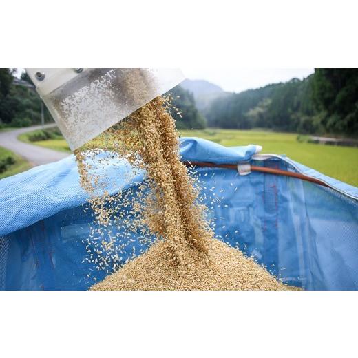 ふるさと納税 熊本県 南関町 K01-4特別栽培米 白米 20kg