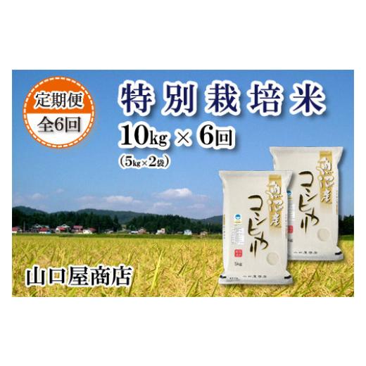 ふるさと納税 新潟県 十日町市 ★令和5年産★“特別栽培米” 魚沼産コシヒカリ  5kg×2袋