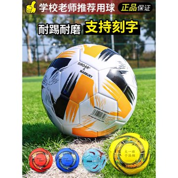 足球小學生專用球兒童幼兒園4號成人5號初中生中考專業訓練比賽