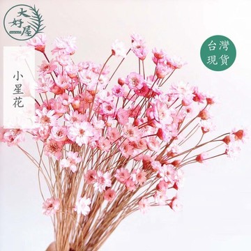 大好屋 台灣現貨 大地農園 小星花 永生花 乾燥花素材 網紅拍照 居家裝飾花材  手作花材 花藝設計 居家佈置