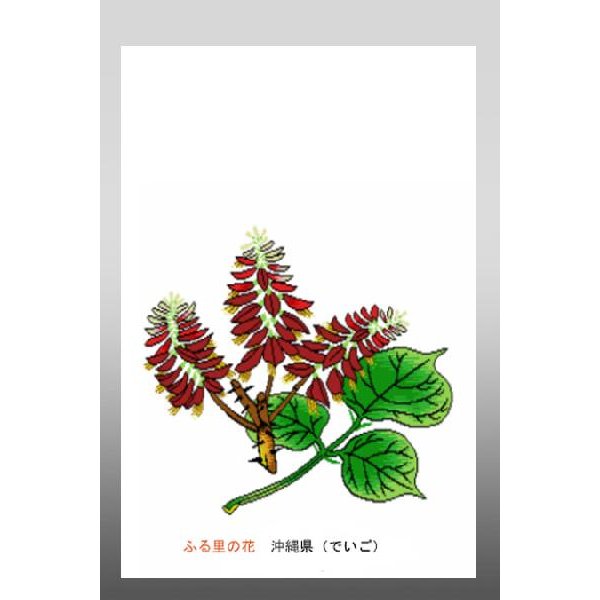 花 イラスト ポストカード 絵葉書 イラスト画 ふる里の花 沖縄 北海道 通販 Lineポイント最大0 5 Get Lineショッピング