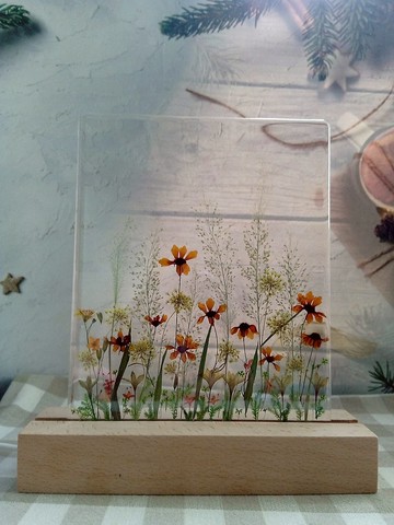 手作押花療愈LED小夜燈 | 花花草草