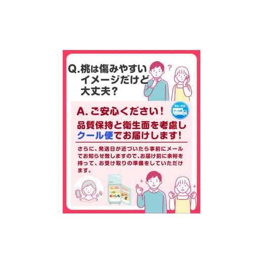 ふるさと納税 和歌山県 紀の川市 和歌山県産 あら川の桃 約4kg(12-15玉入り) お届け時期に合わせた品種を厳選してお届けいたします！《2024年6月中旬-8月中旬…