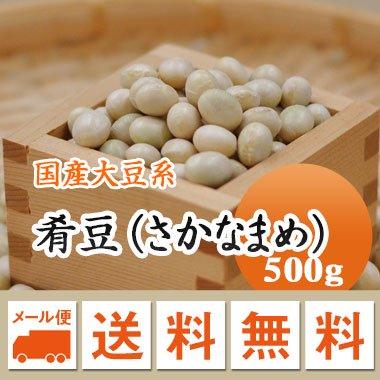 大豆 肴豆 さかな豆 宮城県産 500g 令和4年産  メール便 送料無料 日時指定不可・代引不可・同梱不可商品