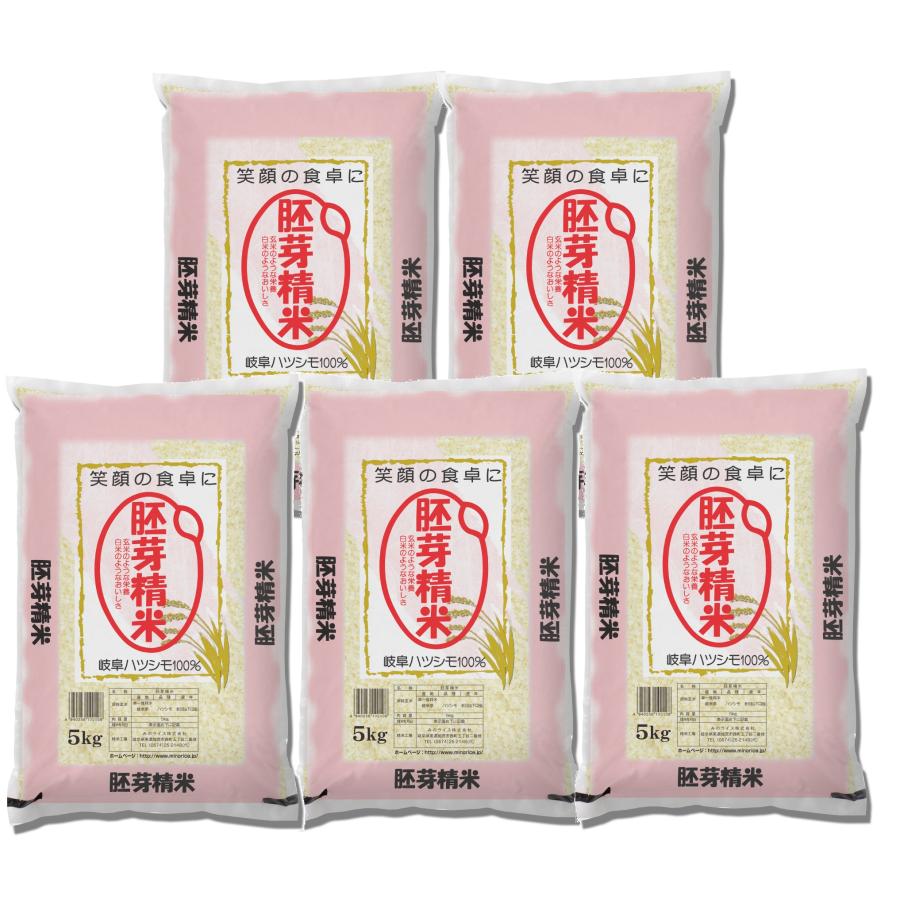 米 お米 胚芽精米 25kg （5kg×5） ハツシモ　岐阜県産　令和5年産