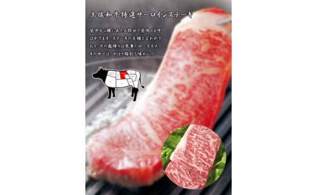  サーロインブロック 1kg＜高知市共通返礼品＞