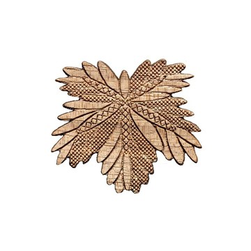 【KOTCHI】ગ walnut 樹胸針 懸鈴木 (platanus)