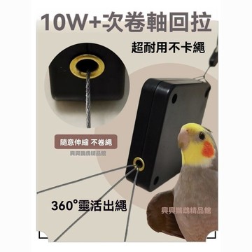 鸚鵡放飛繩 鸚鵡外出繩 正宗鸚鵡外出牽引繩自動伸縮腳環放飛繩不傷腳外出飛行