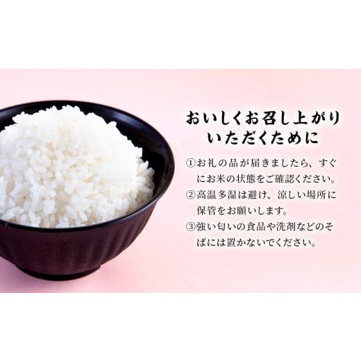 ふるさと納税 秋田県 鹿角市 《新米》《11ヶ月定期便》秋田県鹿角市 令和5年産 特別栽培米「淡雪こまち」精米 5kg（合計55kg）JAかづの産直センター【おらほの…