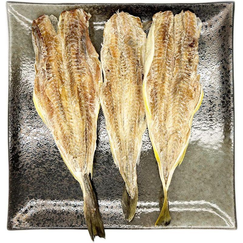 北海道きたれん 北海道産 こまい 氷下魚 コマイ 400g 干し こまい 珍味 10尾前後 かんかい 干物