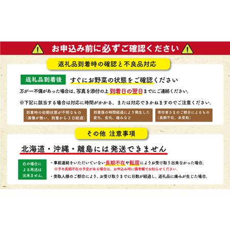 ふるさと納税 季節の野菜 詰め合わせ 8品以上年4回 春夏秋冬 おまかせ セット 産地直送 新鮮 三重県明和町