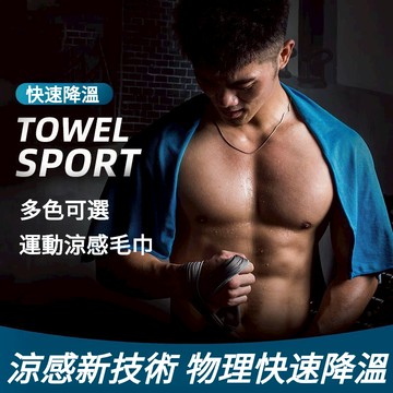 台灣出貨🔥12h 冷感戶外運動毛巾 防曬 男女通用 吸濕排汗 冰絲冷感 健身房跑步旅行獨家擦汗巾专用夏季速干冰凉毛巾便携