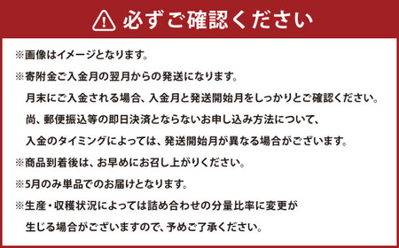 熊本便り！旬のフルーツ詰め合わせ定期便