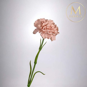 手感保濕康乃馨裸奶茶仿真花材(2入組)